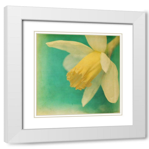 White Flowers V White Modern Wood Framed Art Print with Double Matting by Jorgensen, Jennifer