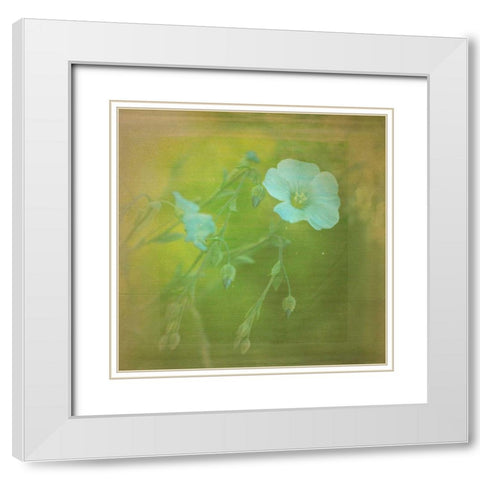 White Flowers VI White Modern Wood Framed Art Print with Double Matting by Jorgensen, Jennifer