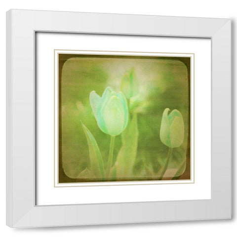 White Flowers VIII White Modern Wood Framed Art Print with Double Matting by Jorgensen, Jennifer