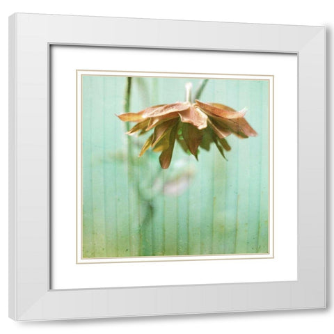 Dream in Pink II White Modern Wood Framed Art Print with Double Matting by Jorgensen, Jennifer