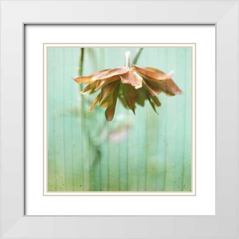 Dream in Pink II White Modern Wood Framed Art Print with Double Matting by Jorgensen, Jennifer