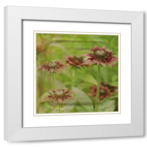 Dream in Pink III White Modern Wood Framed Art Print with Double Matting by Jorgensen, Jennifer