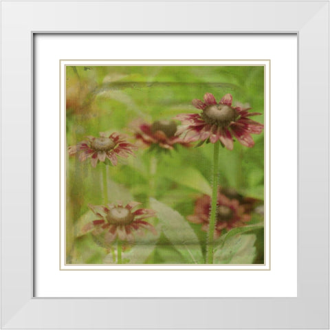 Dream in Pink III White Modern Wood Framed Art Print with Double Matting by Jorgensen, Jennifer
