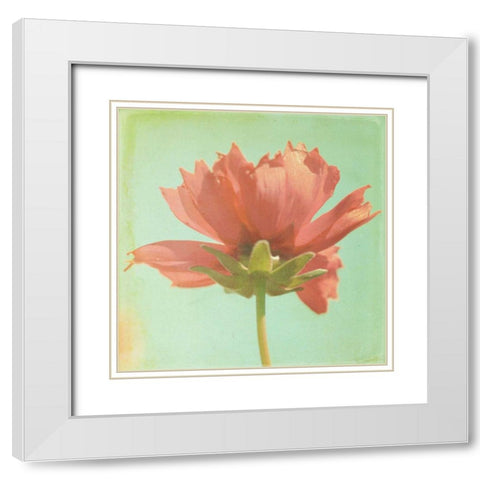 Dream in Pink VII White Modern Wood Framed Art Print with Double Matting by Jorgensen, Jennifer