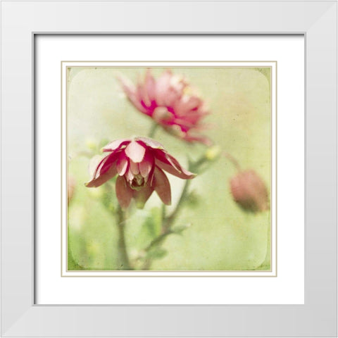 Dream in Pink VIII White Modern Wood Framed Art Print with Double Matting by Jorgensen, Jennifer