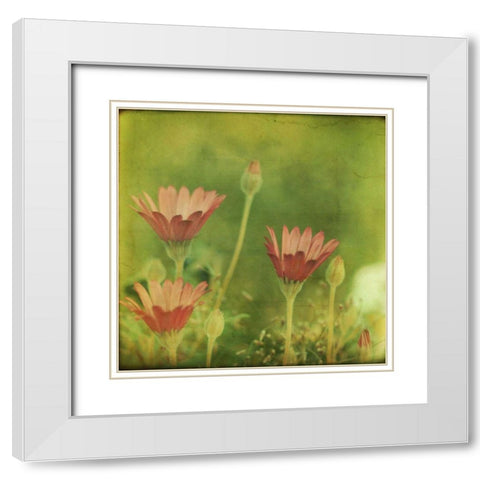 Dream in Pink IX White Modern Wood Framed Art Print with Double Matting by Jorgensen, Jennifer