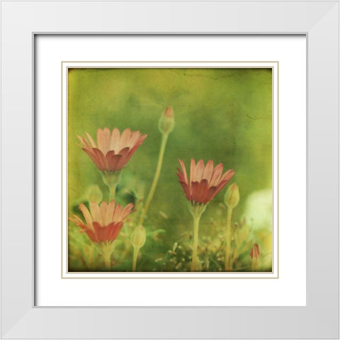Dream in Pink IX White Modern Wood Framed Art Print with Double Matting by Jorgensen, Jennifer