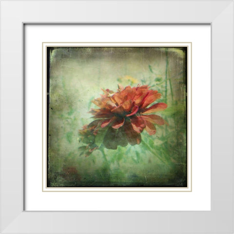 Dream in Pink XI White Modern Wood Framed Art Print with Double Matting by Jorgensen, Jennifer