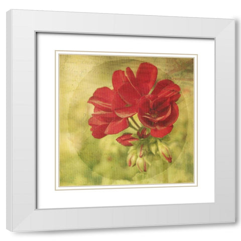 The Moment IV White Modern Wood Framed Art Print with Double Matting by Jorgensen, Jennifer