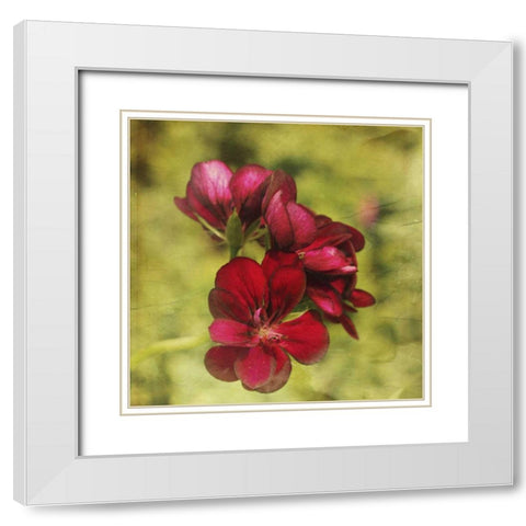 The Moment V White Modern Wood Framed Art Print with Double Matting by Jorgensen, Jennifer