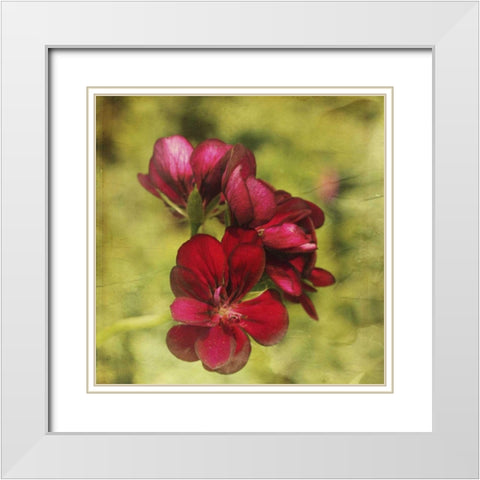 The Moment V White Modern Wood Framed Art Print with Double Matting by Jorgensen, Jennifer
