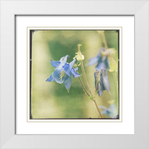 Pastel Paths V White Modern Wood Framed Art Print with Double Matting by Jorgensen, Jennifer