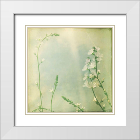 Pastel Paths IX White Modern Wood Framed Art Print with Double Matting by Jorgensen, Jennifer