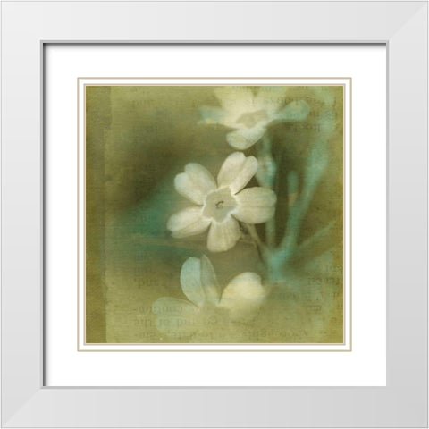 Pastel Paths X White Modern Wood Framed Art Print with Double Matting by Jorgensen, Jennifer