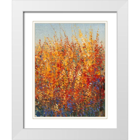 High Desert Blossoms I White Modern Wood Framed Art Print with Double Matting by OToole, Tim