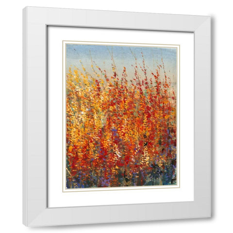 High Desert Blossoms II White Modern Wood Framed Art Print with Double Matting by OToole, Tim