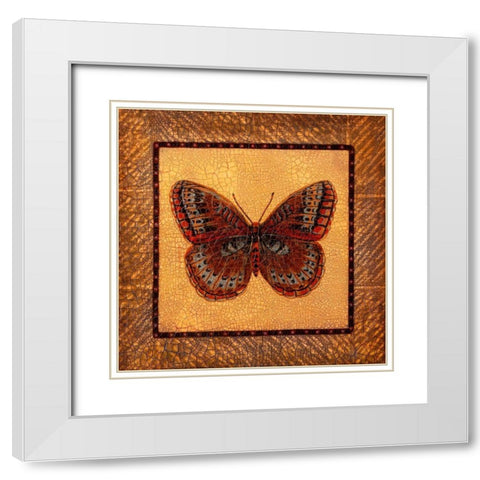Crackled Butterfly - Fritillary White Modern Wood Framed Art Print with Double Matting by Russell, Wendy