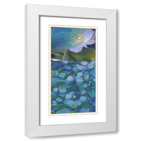 Hydrangea Mix I White Modern Wood Framed Art Print with Double Matting by Mountain, Ricki