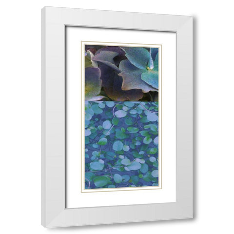 Hydrangea Mix II White Modern Wood Framed Art Print with Double Matting by Mountain, Ricki