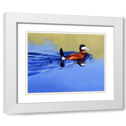Ruddy and Blue White Modern Wood Framed Art Print with Double Matting by Chapman, Julie T.