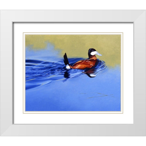 Ruddy and Blue White Modern Wood Framed Art Print with Double Matting by Chapman, Julie T.