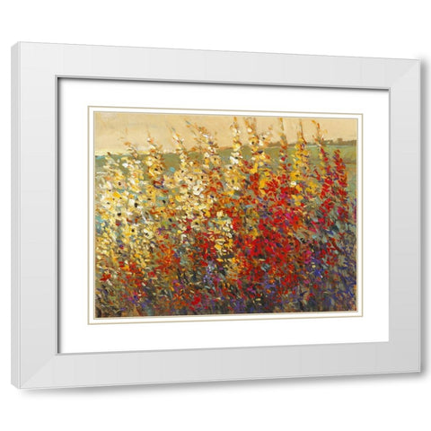 Field of Spring Flowers I White Modern Wood Framed Art Print with Double Matting by OToole, Tim