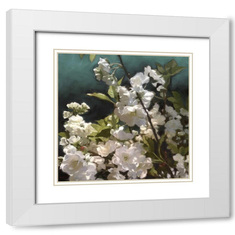 White Roses III White Modern Wood Framed Art Print with Double Matting by Novak, Rick