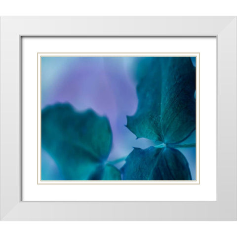Intricacies II White Modern Wood Framed Art Print with Double Matting by Teton Parchment