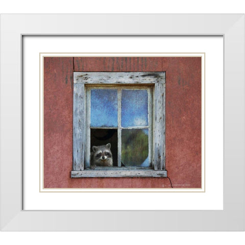 Raccoon Window White Modern Wood Framed Art Print with Double Matting by Vest, Chris