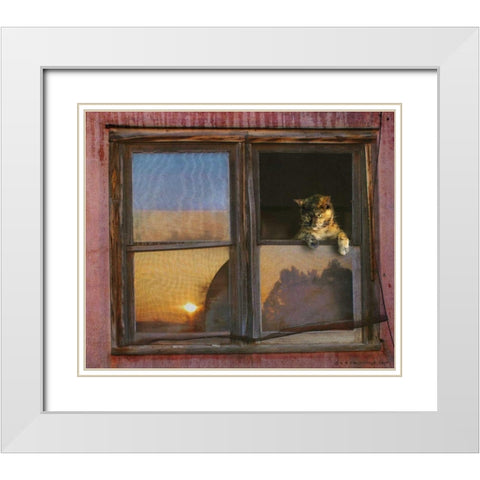 Kitten Window White Modern Wood Framed Art Print with Double Matting by Vest, Chris
