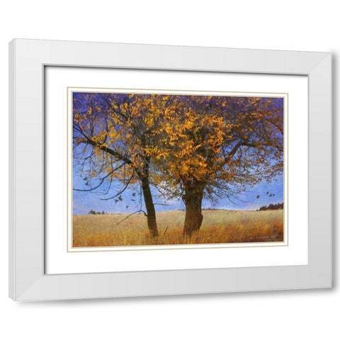 Yellow Elm White Modern Wood Framed Art Print with Double Matting by Vest, Chris