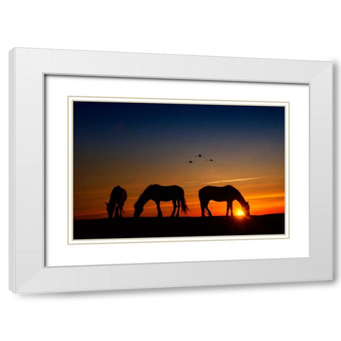 Fly Over White Modern Wood Framed Art Print with Double Matting by PHBurchett