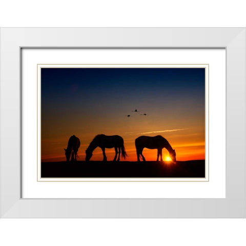 Fly Over White Modern Wood Framed Art Print with Double Matting by PHBurchett