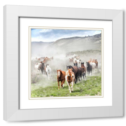 Stampede II White Modern Wood Framed Art Print with Double Matting by PHBurchett