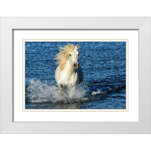 Blue Sea White Modern Wood Framed Art Print with Double Matting by PHBurchett