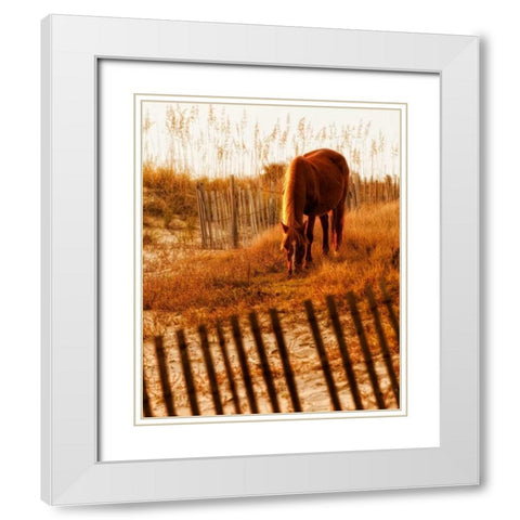 Solitary Light White Modern Wood Framed Art Print with Double Matting by PHBurchett
