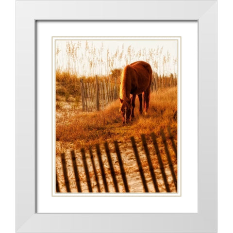 Solitary Light White Modern Wood Framed Art Print with Double Matting by PHBurchett