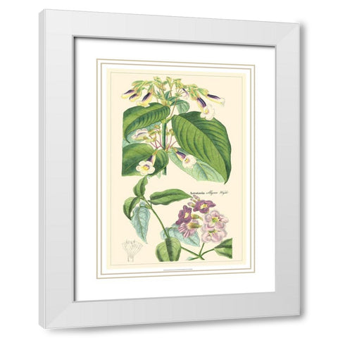 Dietrich Botanical II White Modern Wood Framed Art Print with Double Matting by Dietrich