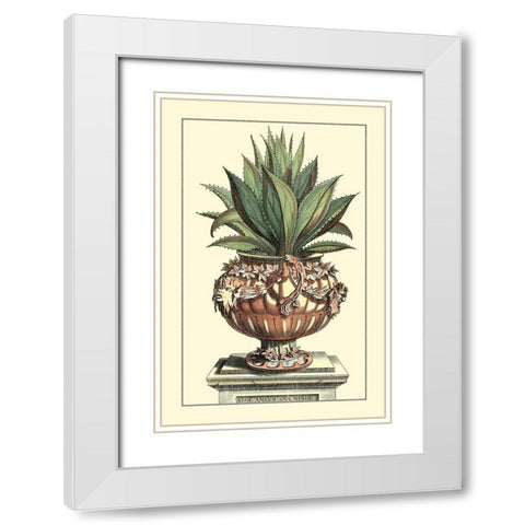Antique Munting Aloe IV White Modern Wood Framed Art Print with Double Matting by Munting, Abraham