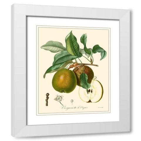 Bessa Pears White Modern Wood Framed Art Print with Double Matting by Bessa