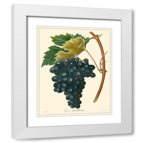 Bessa Grapes II White Modern Wood Framed Art Print with Double Matting by Bessa