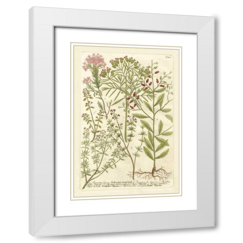 Weinmanns Garden I White Modern Wood Framed Art Print with Double Matting by Weinmann, Johann