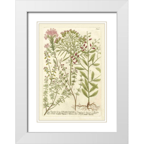 Weinmanns Garden I White Modern Wood Framed Art Print with Double Matting by Weinmann, Johann