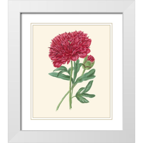 Summer Blush II White Modern Wood Framed Art Print with Double Matting by Smith, E. D.