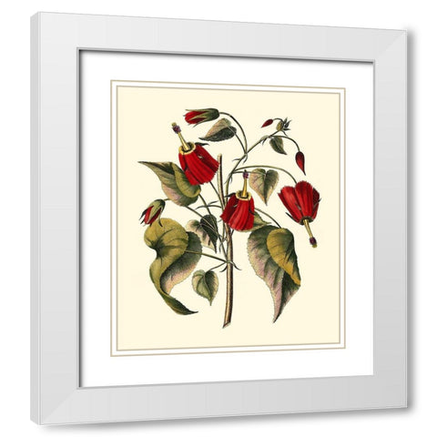 Jennas Flowers I White Modern Wood Framed Art Print with Double Matting by Sellier