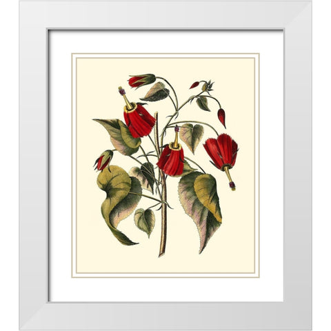 Jennas Flowers I White Modern Wood Framed Art Print with Double Matting by Sellier