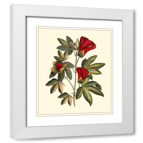 Jennas Flowers II White Modern Wood Framed Art Print with Double Matting by Sellier