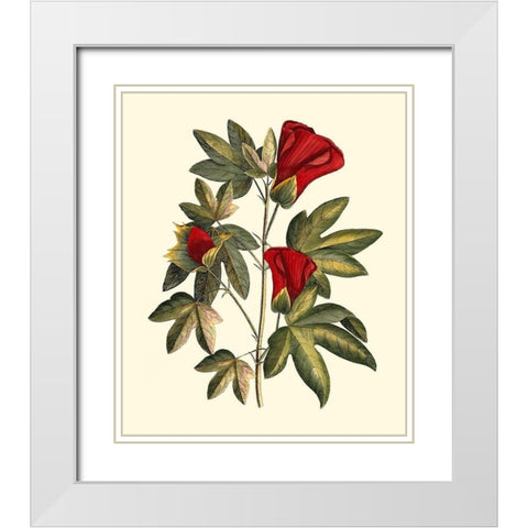 Jennas Flowers II White Modern Wood Framed Art Print with Double Matting by Sellier