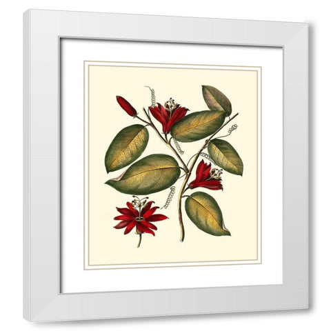 Jennas Flowers III White Modern Wood Framed Art Print with Double Matting by Sellier