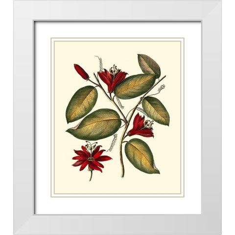 Jennas Flowers III White Modern Wood Framed Art Print with Double Matting by Sellier